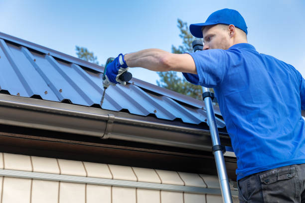 Best Sheet Metal Roofing  in Niwot, CO