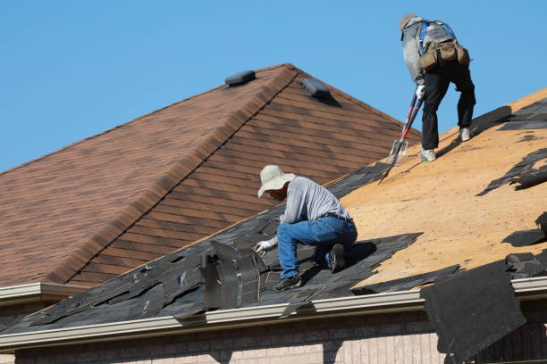 Best Roof Maintenance and Cleaning  in Niwot, CO