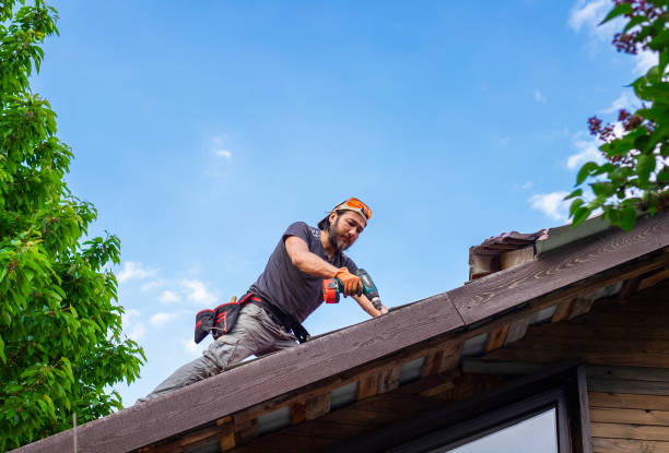 Best Roof Coating and Sealing  in Niwot, CO